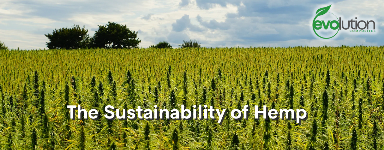 The Sustainability Of Hemp Title Image Showing A Field Of Hemp